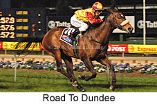 Road To Dundee (17134 bytes)