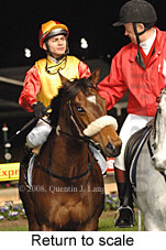 Return to scale (14699 bytes)