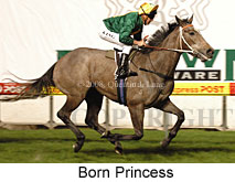 Born Princess (17134 bytes)