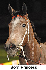 Born Princess (17134 bytes)