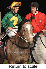 Return to scale (14699 bytes)