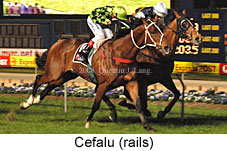 Cefalu (17134 bytes)