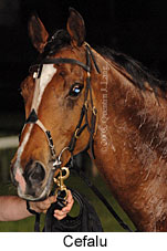 Cefalu (17134 bytes)