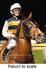 Return to scale (14699 bytes)