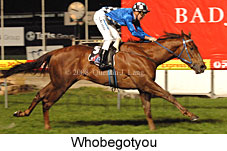 Whobegotyou (17134 bytes)