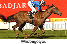 Whobegotyou (17134 bytes)