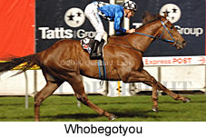 Whobegotyou (17134 bytes)