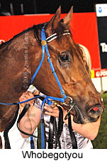 Whobegotyou (17134 bytes)