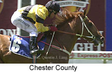 r1chestercounty.jpg (13375 bytes)