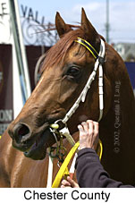 r1chestercounty2.jpg (13801 bytes)