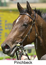 r2pinchbeck2.jpg (13850 bytes)