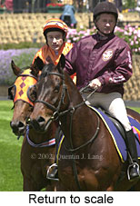 r2rtosc.jpg (16613 bytes)