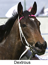 r3dextrous2.jpg (11713 bytes)