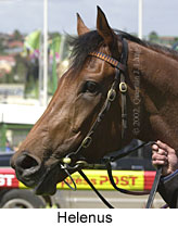 r4helenus3.jpg (12670 bytes)