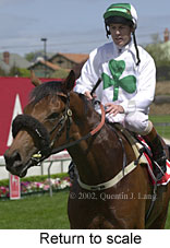 r4rtosc.jpg (13542 bytes)