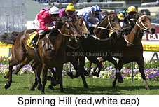 r5spinninghill2.jpg (18429 bytes)