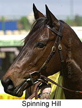 r5spinninghill3.jpg (12417 bytes)