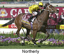 r7northerly.jpg (19743 bytes)