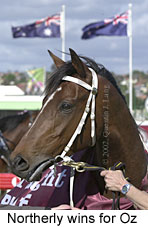 r7northerly3.jpg (13195 bytes)