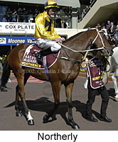 r7northerly4.jpg (15530 bytes)