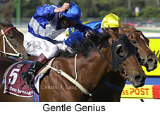 r8gentlegenius.jpg (17322 bytes)