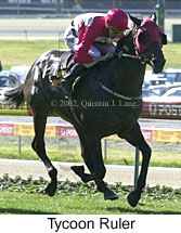 r1tycoonruler2.jpg (16915 bytes)