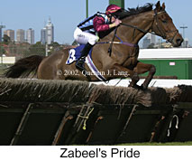 r2zabeelspride.jpg (13913 bytes)