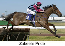 r2zabeelspride2.jpg (14376 bytes)