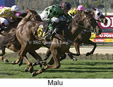 r3malu.jpg (18924 bytes)