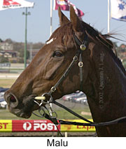 r3malu2.jpg (13393 bytes)