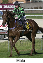 r3malu3.jpg (14281 bytes)