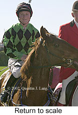 r3rtosc.jpg (14196 bytes)