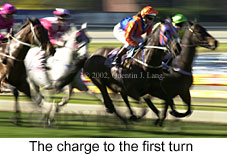 r5action.jpg (16000 bytes)