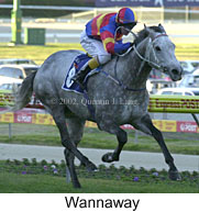 r8wannaway.jpg (14703 bytes)