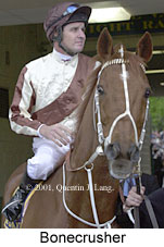 r0bonecrusher.jpg (13315 bytes)