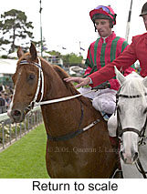 r1rtosc.jpg (15059 bytes)