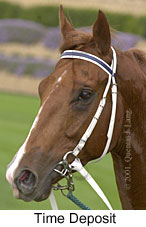 r1timedeposit2.jpg (11307 bytes)