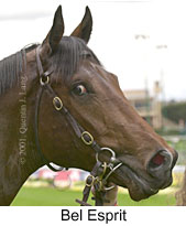 r2belesprit2.jpg (9995 bytes)