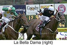 r5labelladama.jpg (17632 bytes)