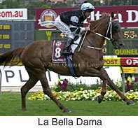 r5labelladama2.jpg (17817 bytes)