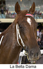 r5labelladama3.jpg (12329 bytes)