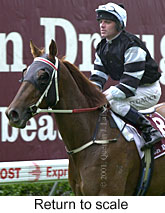 r5rtosc.jpg (15166 bytes)