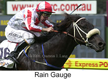 r6raingauge.jpg (15161 bytes)