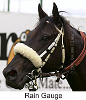 r6raingauge2.jpg (11617 bytes)