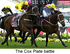 r7coxplate.jpg (20822 bytes)