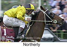 r7northerly.jpg (16745 bytes)