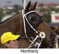 r7northerly2.jpg (11508 bytes)