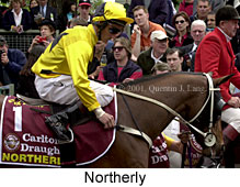 r7northerly3.jpg (19385 bytes)