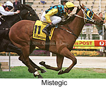 r8mistegic.jpg (19383 bytes)