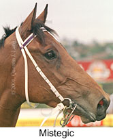 r8mistegic2.jpg (10878 bytes)